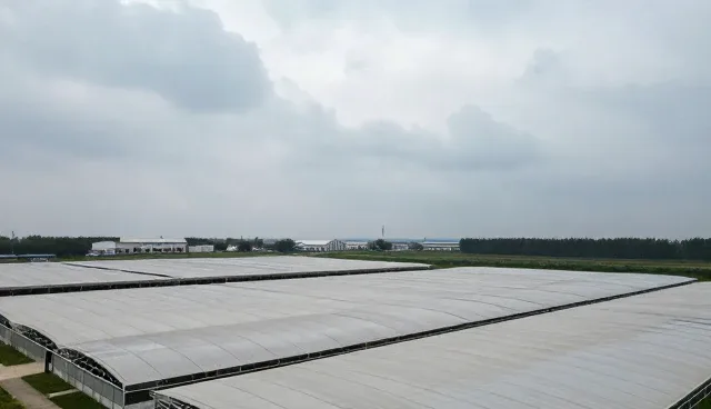 广州网站制作哪家公司好，如何选择优质企业推广服务
